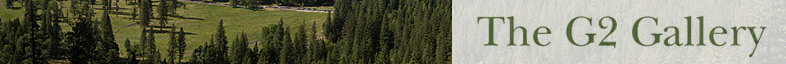g2_banner04
